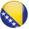 Bosnian v1