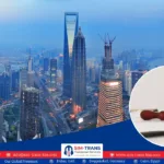 Certified Translations in Riyadh